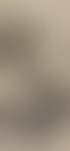 Landscape (preview)
