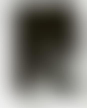 Lou Reed (preview)