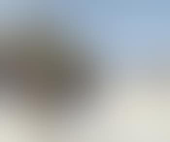 Winterlandschaft (preview)