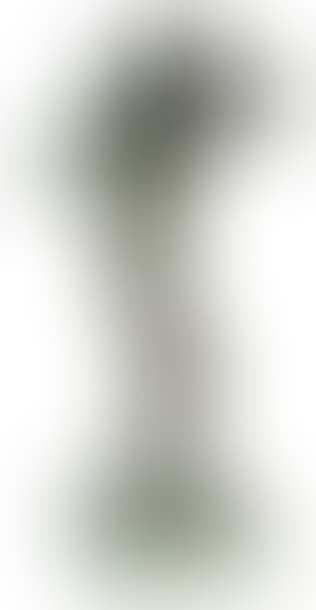 Faune, transculpture (preview)