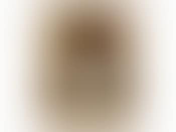 Portrait of a young lady (preview)
