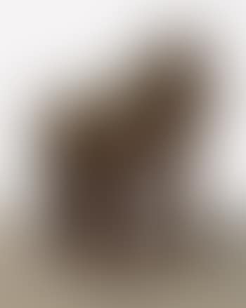 Caballo (preview)