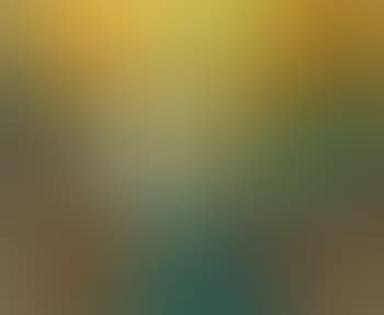 Helles Sonnenblumenbild (preview)