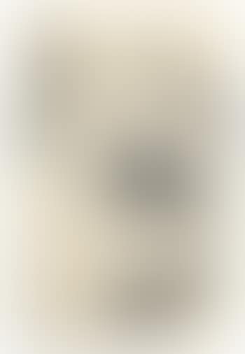 Studie einer Frau mit Buch und Regenschirm (preview)