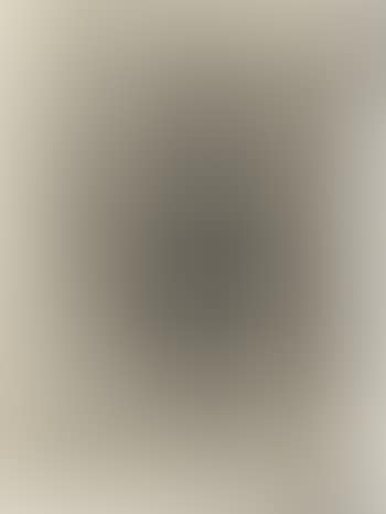 Ohne Titel (positives Photogramm), Dessau (preview)