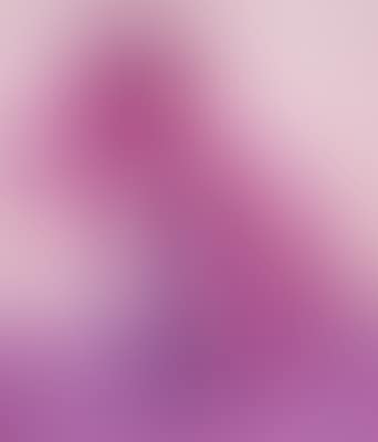 Vaso di Fiori (preview)