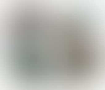 Etude pour Organimation (preview)