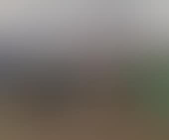 Mountainous landscape (preview)