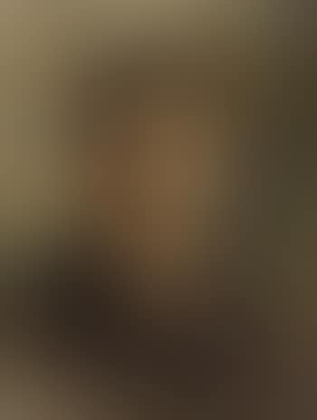 Figura (preview)