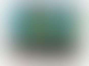 Silent Steamers (preview)