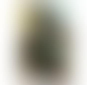Peinture no. 10 'T 47.10' (preview)