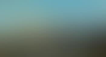Vue d'un port en Hollande (preview)