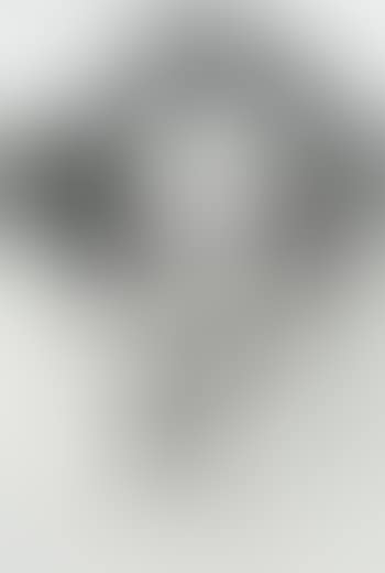 Untitled X 343 (preview)