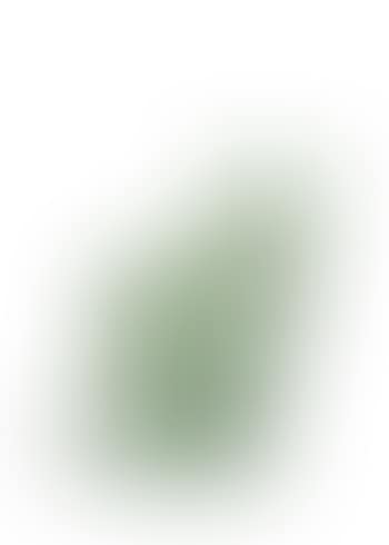 Cloned green cat with petbottle (preview)