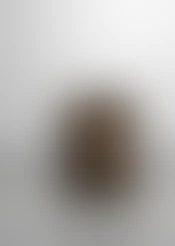 Torso (preview)
