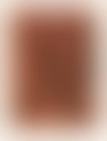 19 (preview)