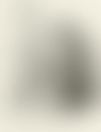Architekt (preview)