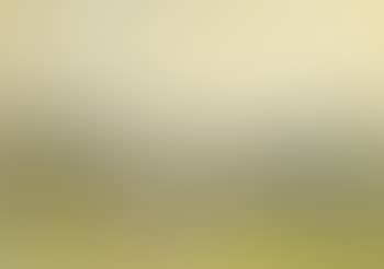 Landscape (preview)