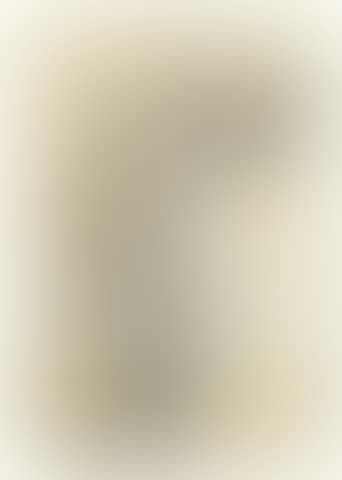 Study of a robed man; A standing female nude (preview)