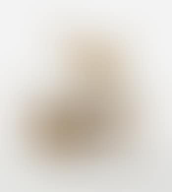 Histoires naturelles, poule d'eau (preview)