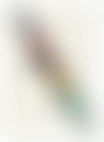 Serpent (preview)