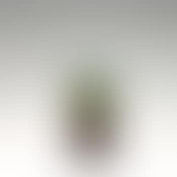 'Fructidor' vase (preview)