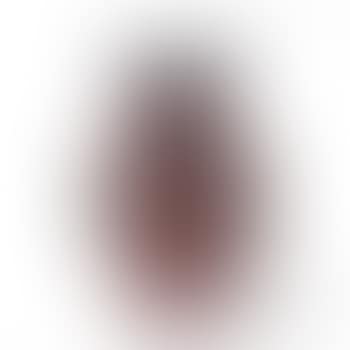 Important 'Tulipes' vase (preview)