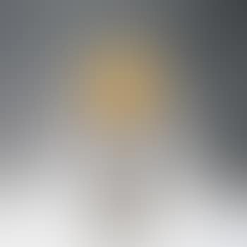 Table light with base by Louis Majorelle by Louis Majorelle (preview)