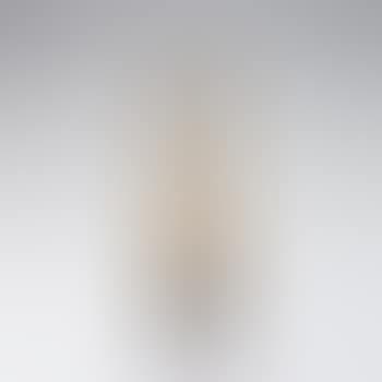 'Vigne vierge' vase (preview)