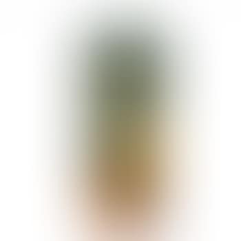 'Plaqueminier du Japon' or 'Kaki' vase (preview)