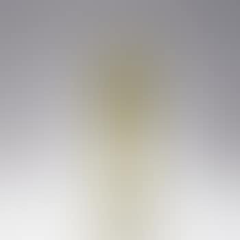 'Grues du Japon' vase (preview)