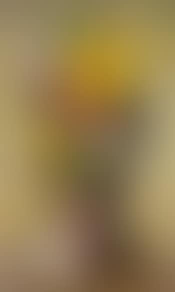 Flowers in Vase (preview)