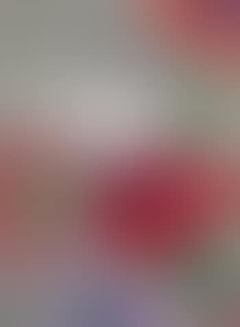 Poppy (preview)