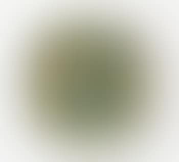 Spiralental (preview)