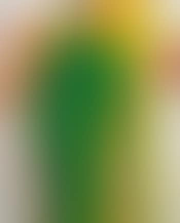 Motiv 5 (bunt) (preview)