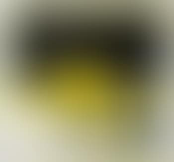 Lemons (preview)
