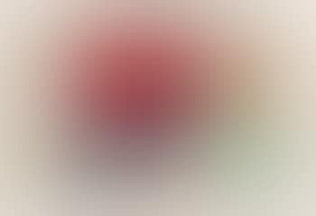 Study for still life (preview)