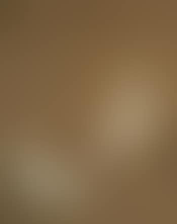 Chickens and Chicks after Ming Emperor Xuanzong (1426-1435) (preview)