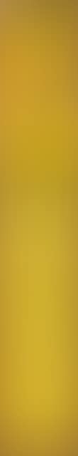 The composer's yellow tie (preview)