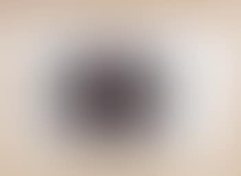 One brown oval (preview)