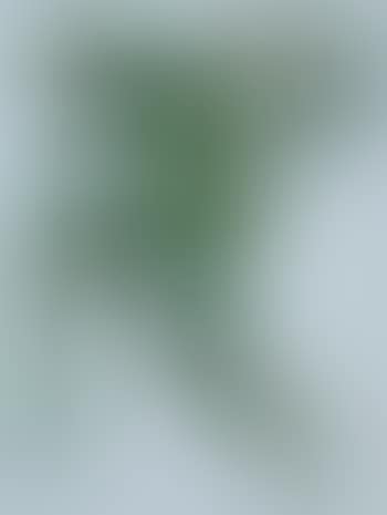 Dancer with Green Leaves (preview)