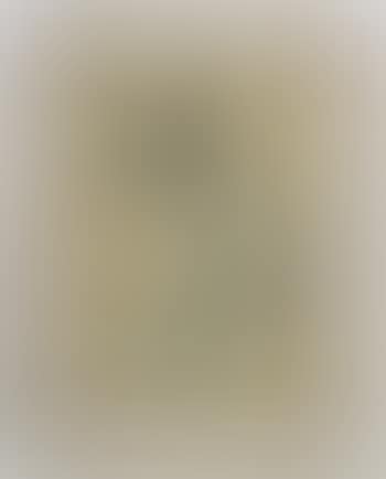 Portrait of a Young Woman in a Pale Blue Dress (preview)