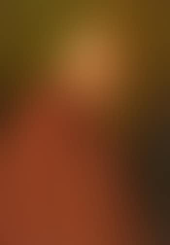 Kardinal (preview)