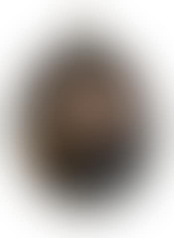 Portrait of Louis Charles de Bode (preview)