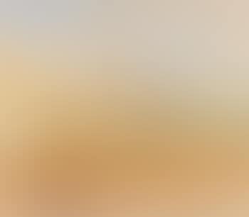 Landschaft am Main (preview)
