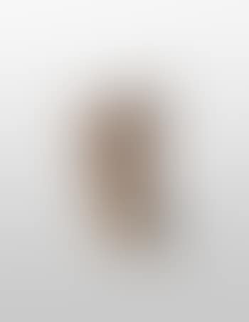 Torso-Profil (preview)