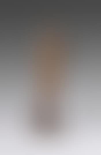 Statuette (preview)