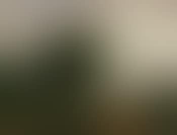 Landschaft bei Luzern (preview)