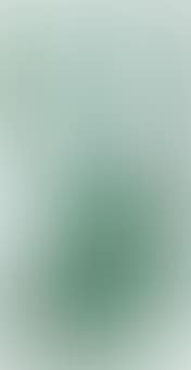 Green Monkey (preview)