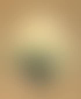 Moon's Metamorphosis Series (preview)